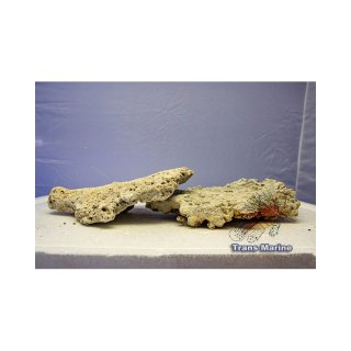 Korallenriffplatten    1kg