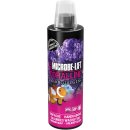 Coralline (236ml.)