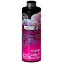 Coral Active 473ml