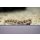 Blenniella chrysospilos