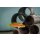 Bodianus bimaculatus