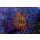 Entacmaea quadricolor