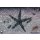 Archaster typicus