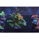 Montipora stellata FRAGS