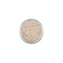 CaribSea Aragalive Fiji Pink